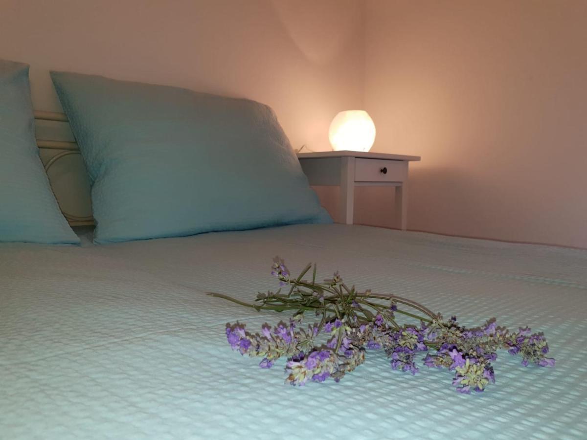 Apartments Jaca Banjol 외부 사진